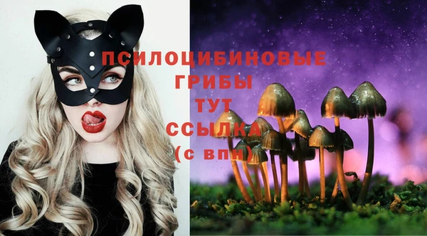 МДПВ Киренск