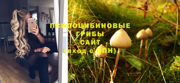 МДПВ Киренск