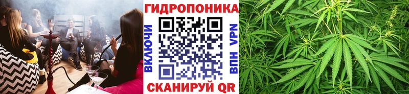 Бошки Шишки планчик  Купить закладки  Иланский 